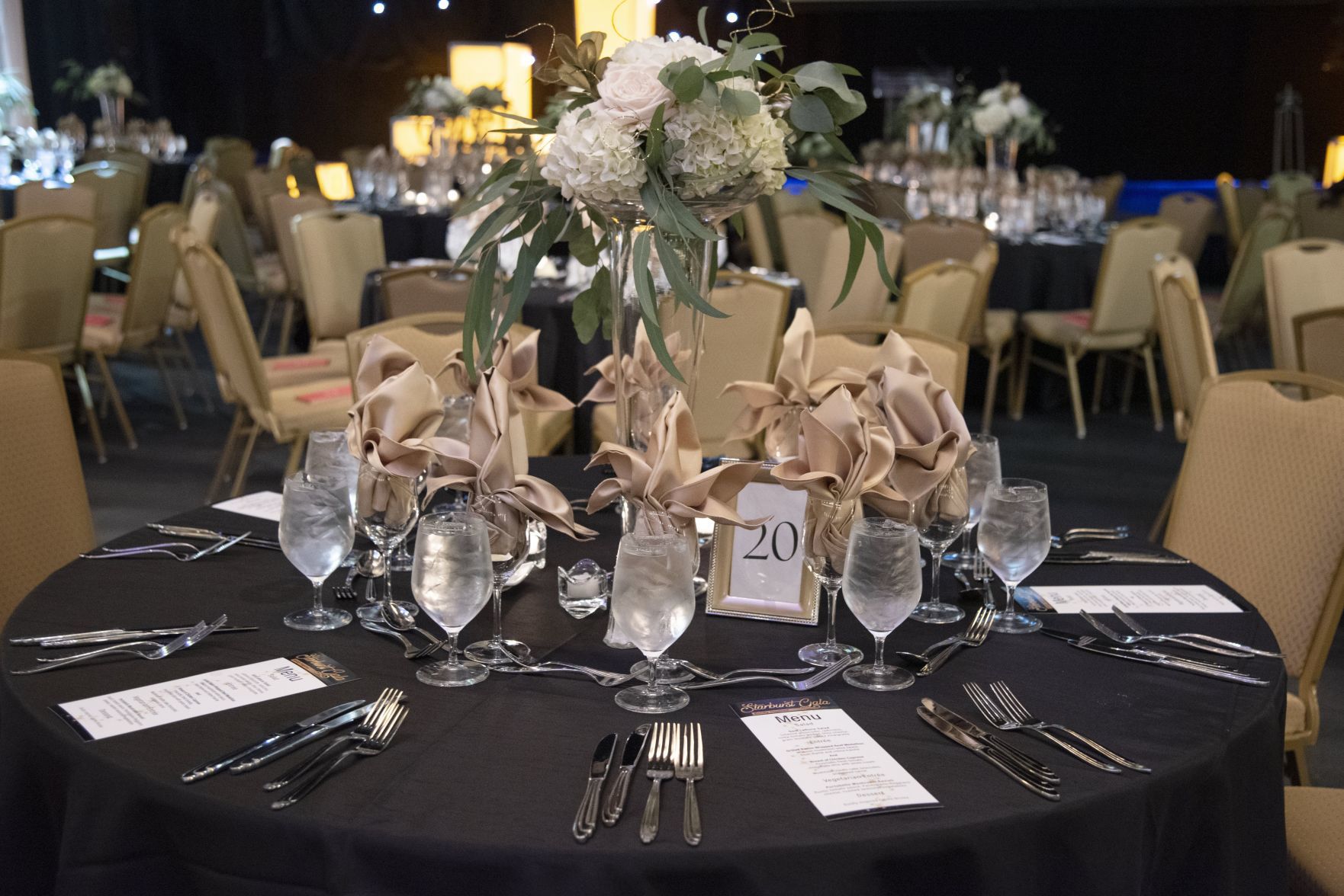 Affinia HealthCare Starburst Gala